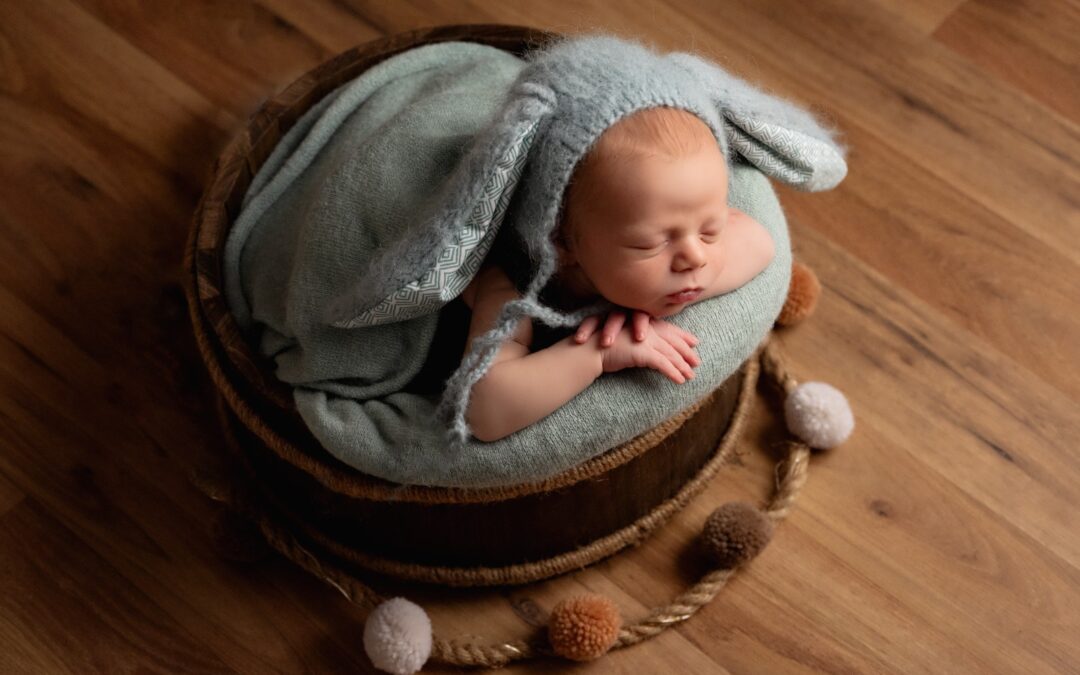 fotos bebes zaragoza